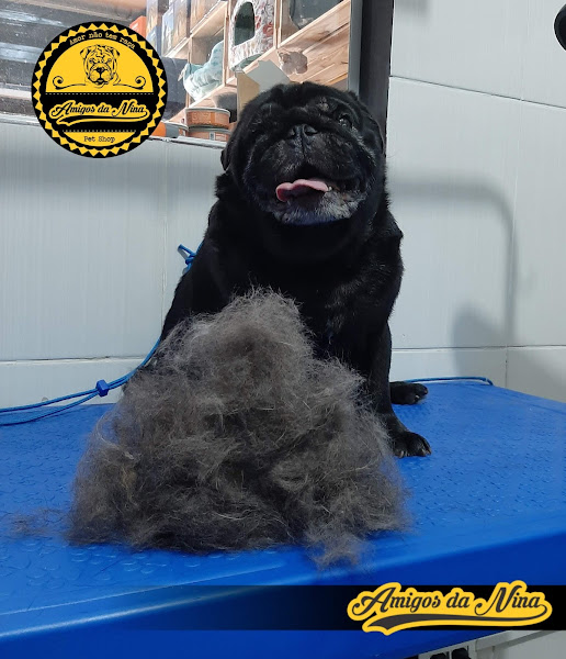 Foto 4 Pet Shop Amigos da Nina