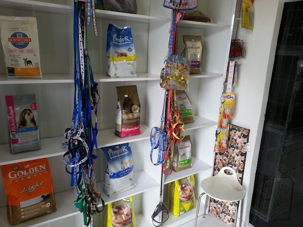 Foto 1 Patas e Pêlos