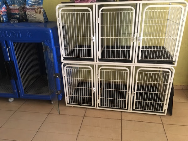 Foto 2 Pet Shop Ame Pets