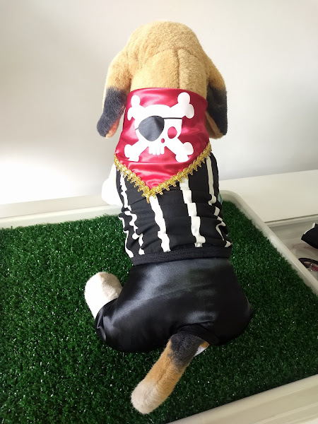 Foto 2 Lilla's Pet- Clínica Veterinária e PetShop