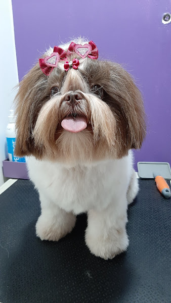 Foto 4 Lilla's Pet- Clínica Veterinária e PetShop