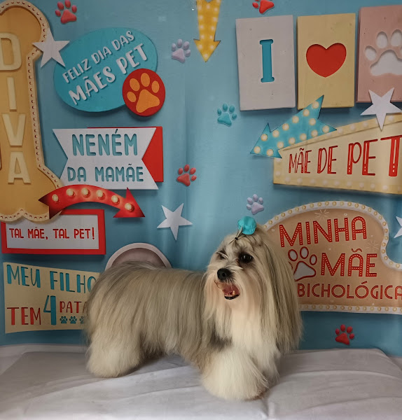 Foto 2 Bixu Chic Pet Shop E Salon