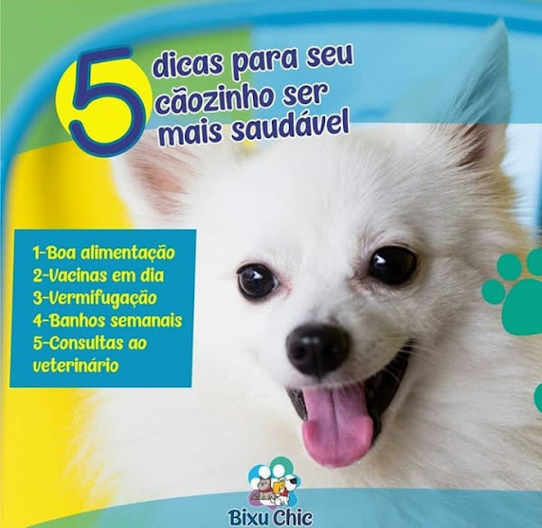 Foto 3 Bixu Chic Pet Shop E Salon