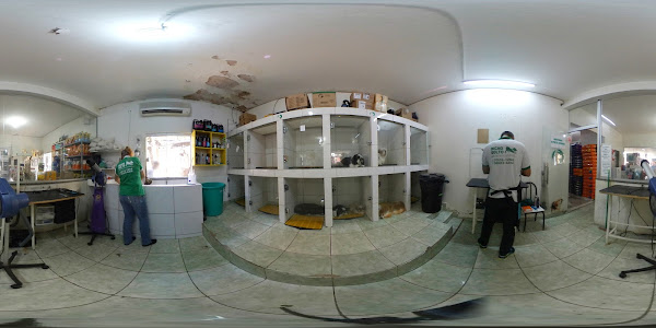 Foto 1 Agropecuária e Pet Shop Bicho Solto