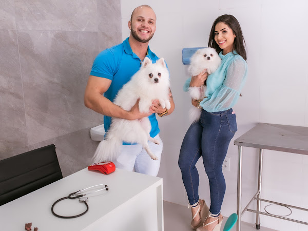 Agrodog Consultório Veterinário