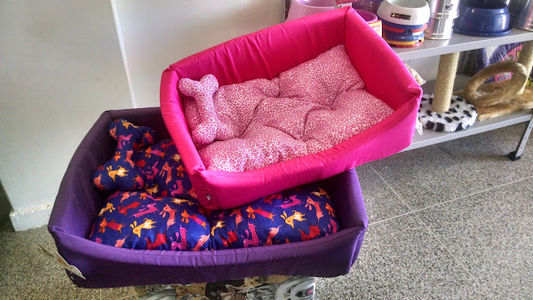 Foto 4 Parkvet Clínica Veterinária e Petshop