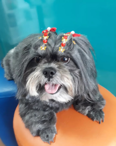 Foto 1 Pelos & Patas Pet House Foto 1 Pelos & Patas Pet House