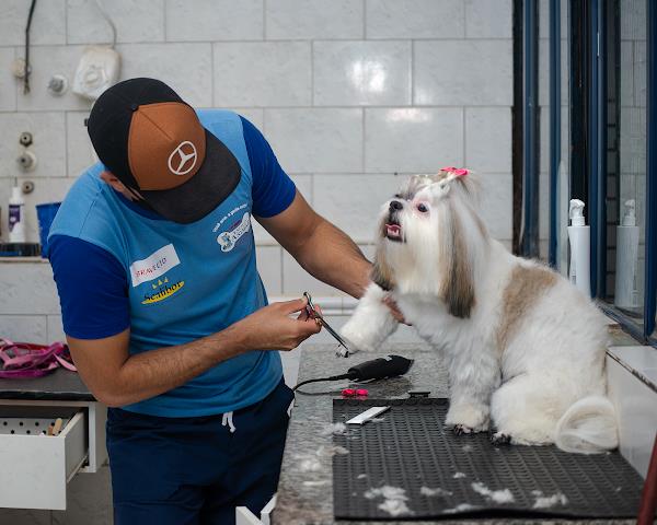 Foto 3 Estilo Animal - Clínica Veterinária e Pet Shop