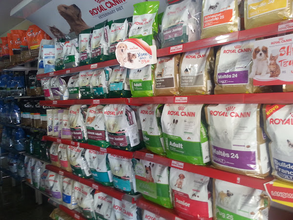 Foto 2 Mania de Bichos