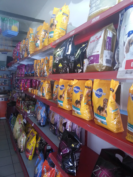 Foto 1 Liberato Rocha pet Shop