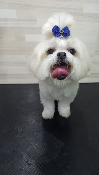 Foto 3 Liberato Rocha pet Shop