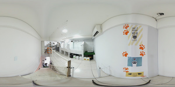 Foto 4 Lucão Pet Store - Unidade Vista Shopping