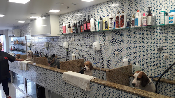 Foto 1 Au Au Petshop