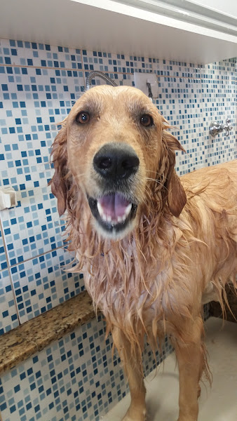 Foto 4 Au Au Petshop