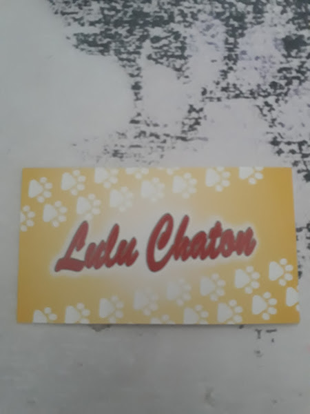 Pet Shop Lulu Chaton
