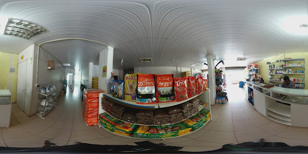 Foto 1 Show Dog Pet Shop