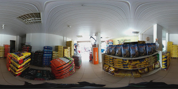 Foto 2 Show Dog Pet Shop