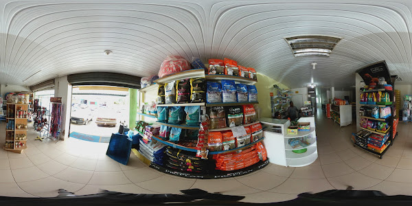 Foto 4 Show Dog Pet Shop