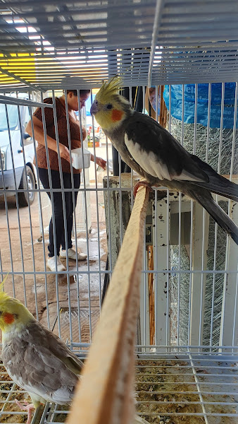 Foto 4 Agro-Isa Pet Shop