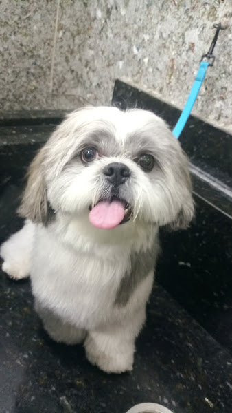 Foto 1 Amigos de Patas Pet Shop