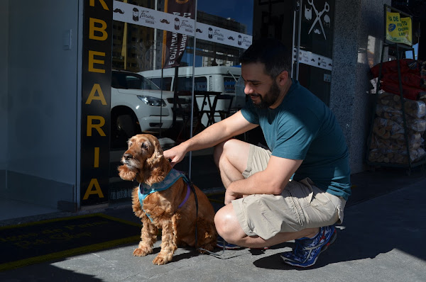 Foto 2 Amigos de Patas Pet Shop