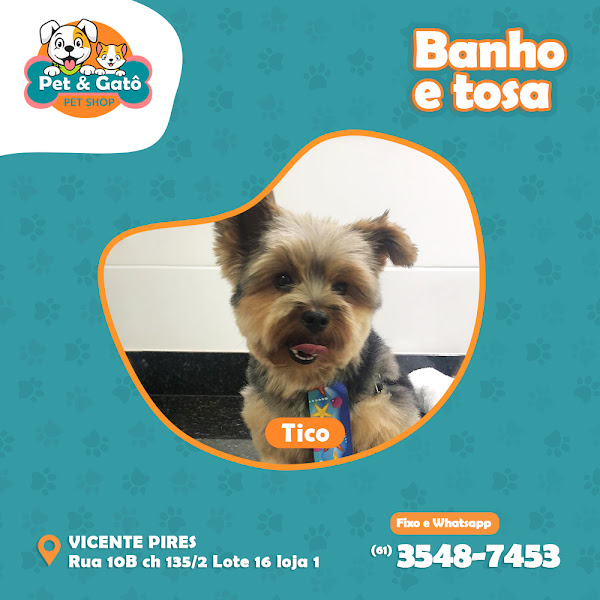 Foto 2 Pet & Gato^ PetShop