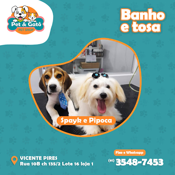 Foto 3 Pet & Gato^ PetShop