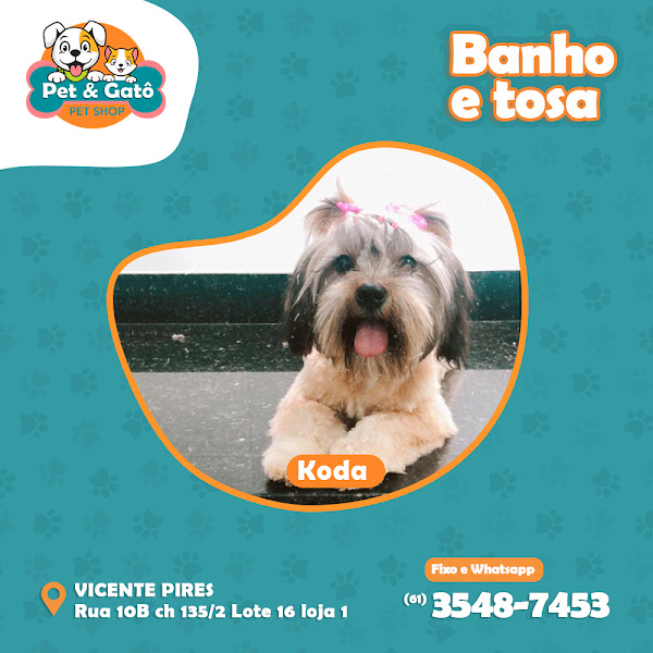 Foto 4 Pet & Gato^ PetShop Foto 4 Pet & Gato^ PetShop