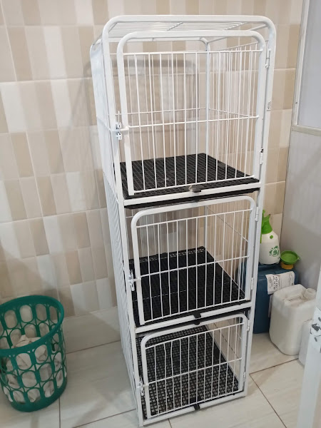 Foto 6 Pet Clube - Pet Shop