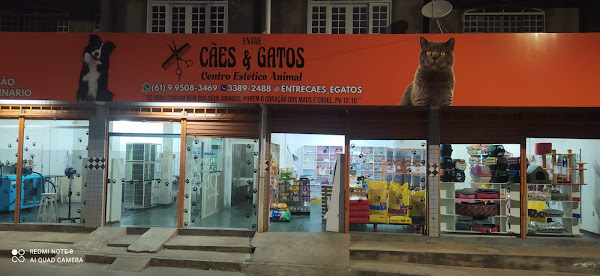 PET SHOP e AGROPECURIA SCOOBYDOO