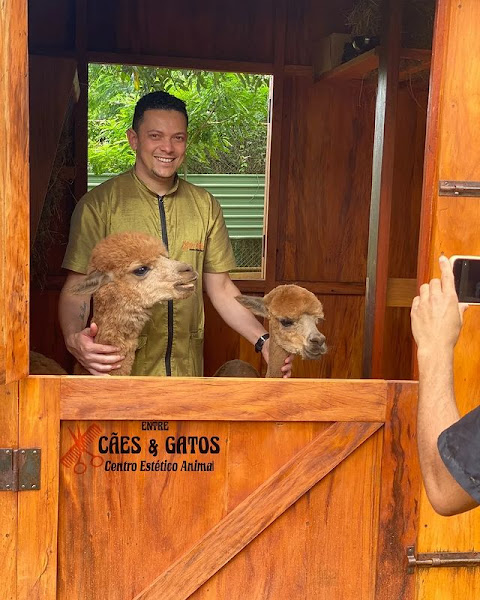 Foto 2 PET SHOP e AGROPECURIA SCOOBYDOO