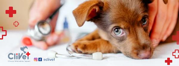 Clínica Veterinária e Pet Shop Taquari