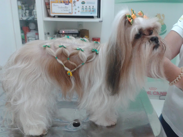 FranVet Banho e Tosa - Estética e saúde para o seu Pet