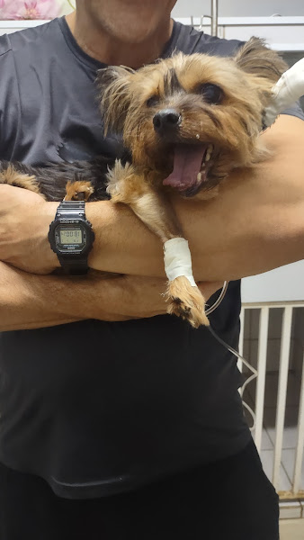 Foto 2 CLINVIP - Vicente Pires Rua 12