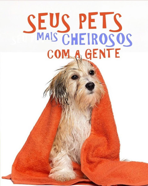 Foto 5 Lucão Pet Store Unidade Qd 205, Paço Linea