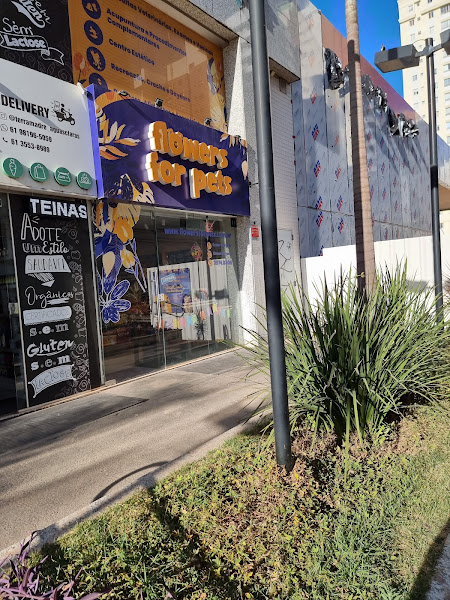 Foto 2 Flowers for Pets