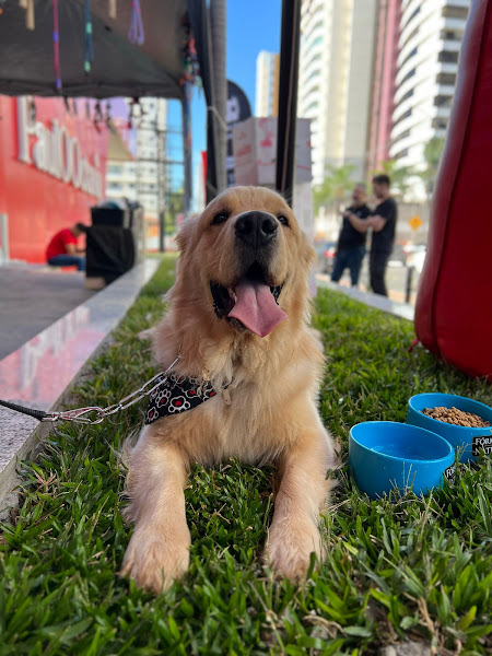 Foto 4 Flowers for Pets