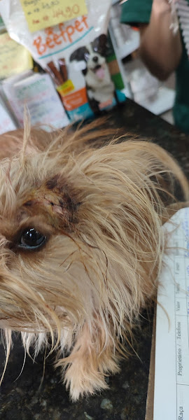 Foto 1 Pet Shop e Agropecuária Mascote Foto 1 Pet Shop e Agropecuária Mascote