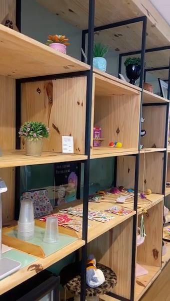 Banho dos Gatos Cat Spa