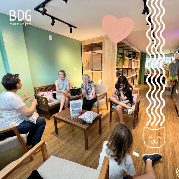 Foto 1 Banho dos Gatos Cat Spa