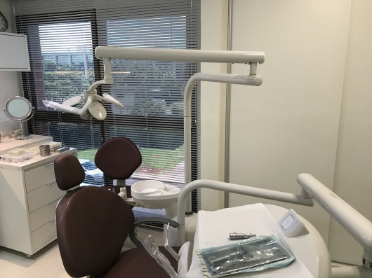 Dr. Fernando Augusto Brasil, Dentista