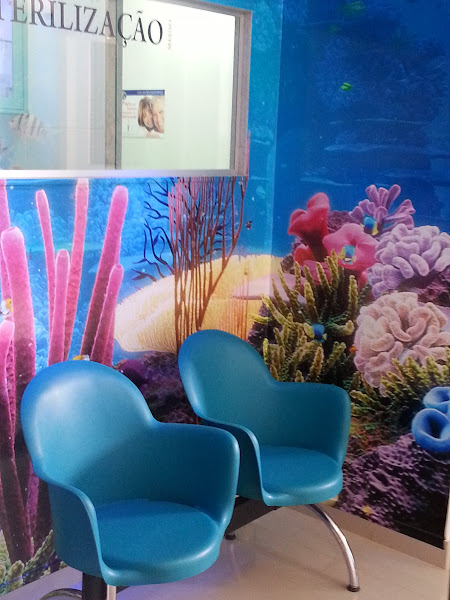 Foto 1 Ortoshow Dentista