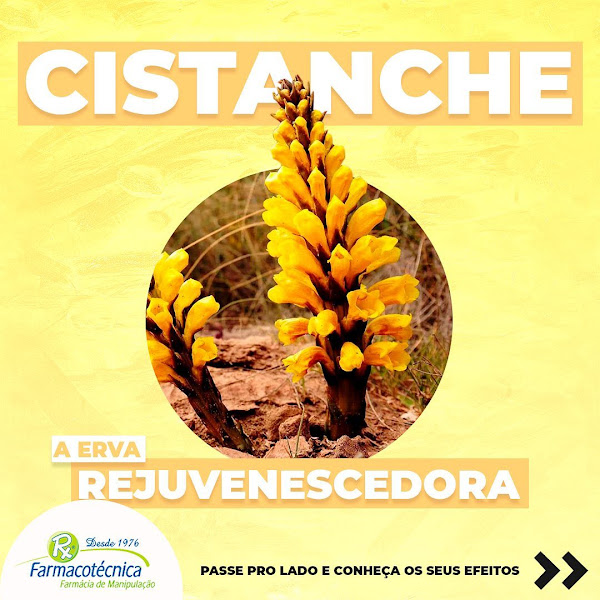 Foto 2 Farmacotécnica 102 Sul: Farmácia de Manipulação, Vitaminas, Suplementos, Cosméticos, Delivery, Brasília DF