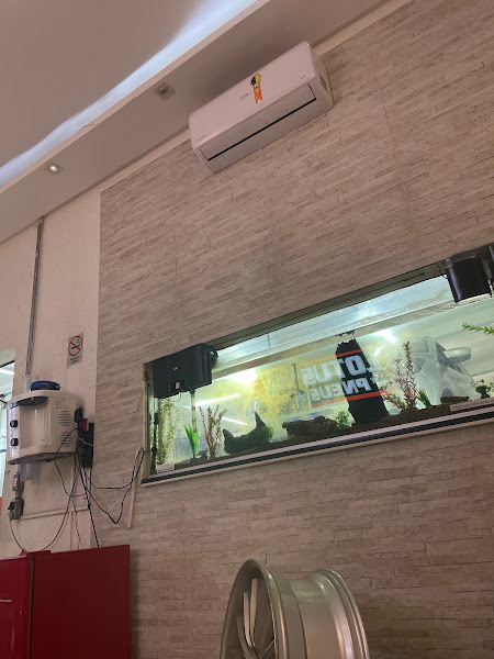 Foto 2 Lotus Pneus e Rodas - Sudoeste