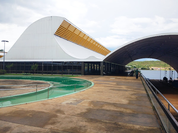 Foto 6 Sarah Kubitschek