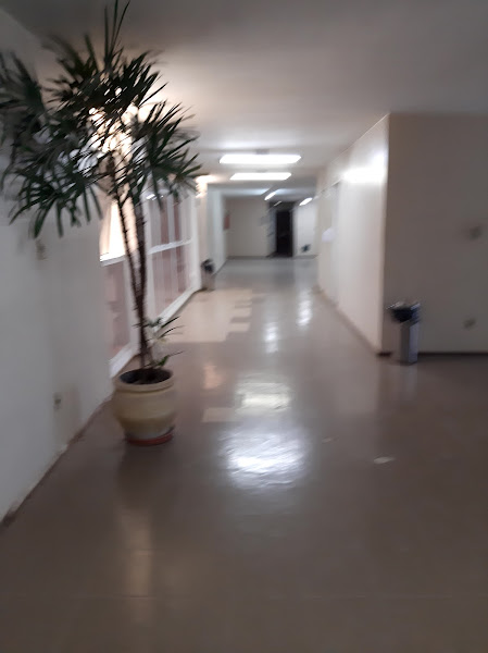 Foto 4 Instituto de Cirurgia do Lago - ICL