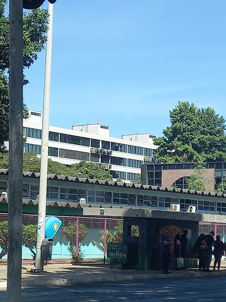 Foto 4 Clínica da Mulher SES Foto 4 Clínica da Mulher SES