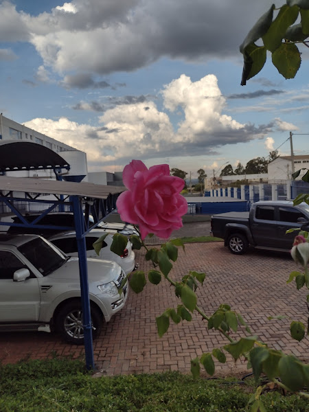 Foto 6 Comando Auto Peças ADE