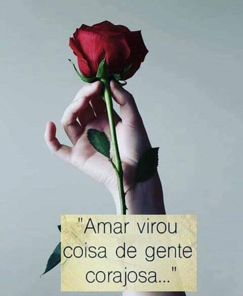 Foto 3 Auto Elétrica Papagaio