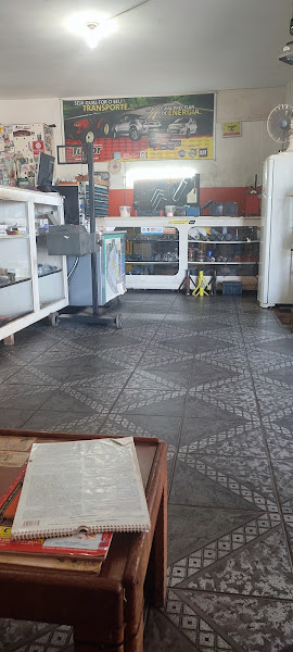 Auto Eletrica Auto Eletrica